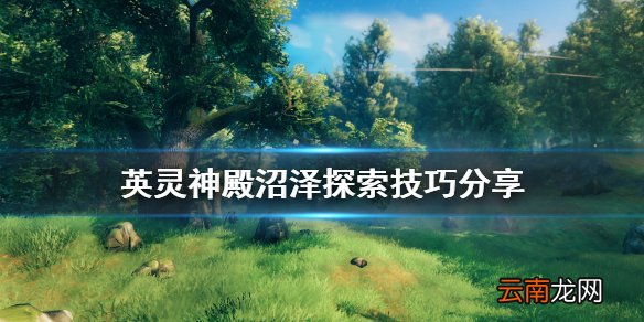 Valheim沼泽怎么探索 英灵神殿沼泽探索技巧分享