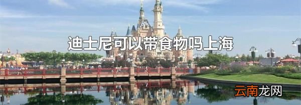 迪士尼可以带食物吗上海