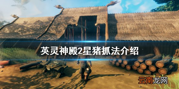 Valheim2星猪怎么抓 英灵神殿2星猪抓法介绍