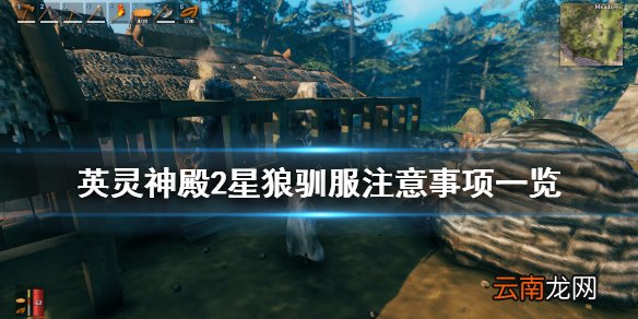 Valheim驯2星狼要注意什么 英灵神殿2星狼驯服注意事项一览