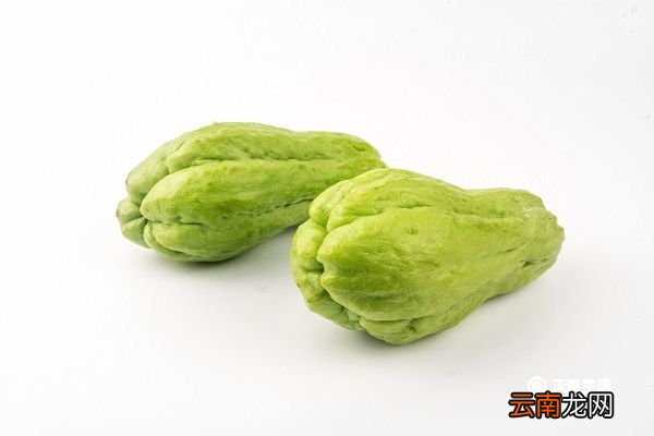 洋瓜的功效与作用 洋瓜的功效