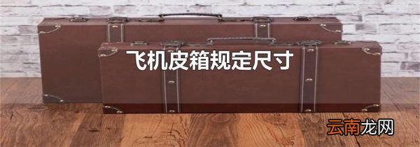 飞机皮箱规定尺寸