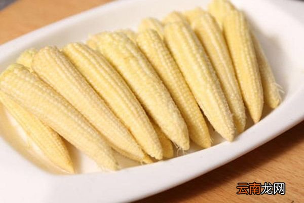玉米笋的功效与作用 玉米笋的禁忌