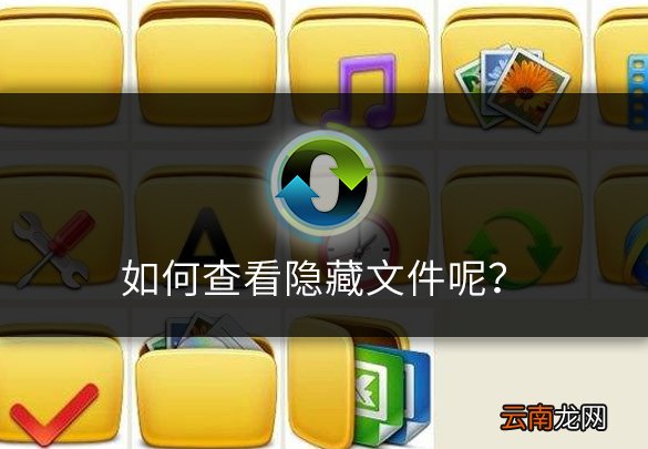 如何查看系统隐藏文件呢?教你一招电脑小技巧