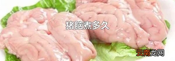 猪脑煮多久