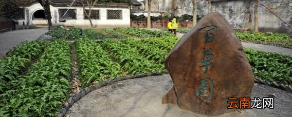 百草园到三味书屋主旨 从百草园到三味书屋的主题是什么