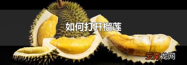如何打开榴莲