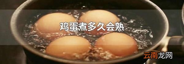 鸡蛋煮多久会熟