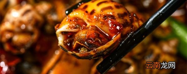 黄螺冷水煮还是开水煮 煮黄螺是冷水还是热水
