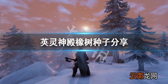 英灵神殿橡树种子分享 Valheim橡树哪里多