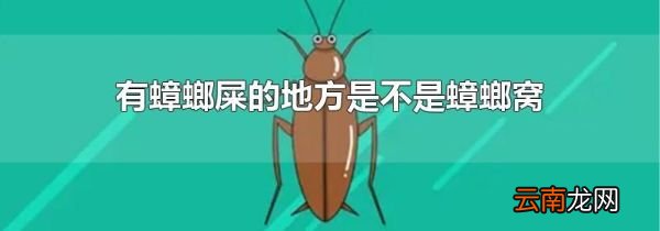 有蟑螂屎的地方是不是蟑螂窝