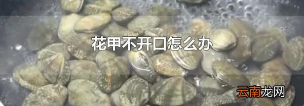 花甲不开口怎么办