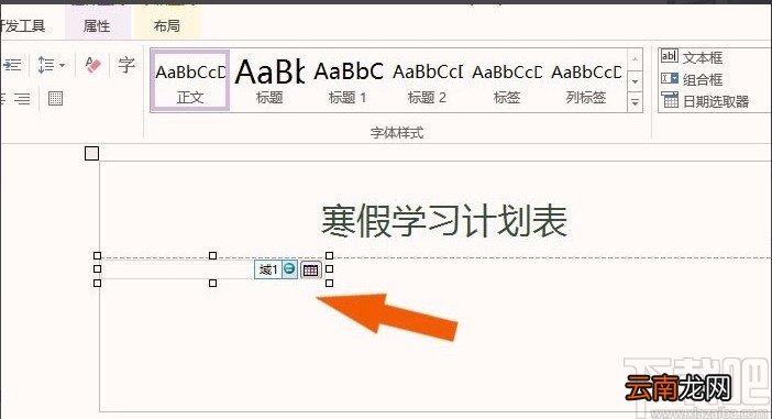 infopath2013的使用方法