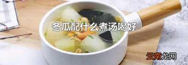 冬瓜配什么煮汤喝好
