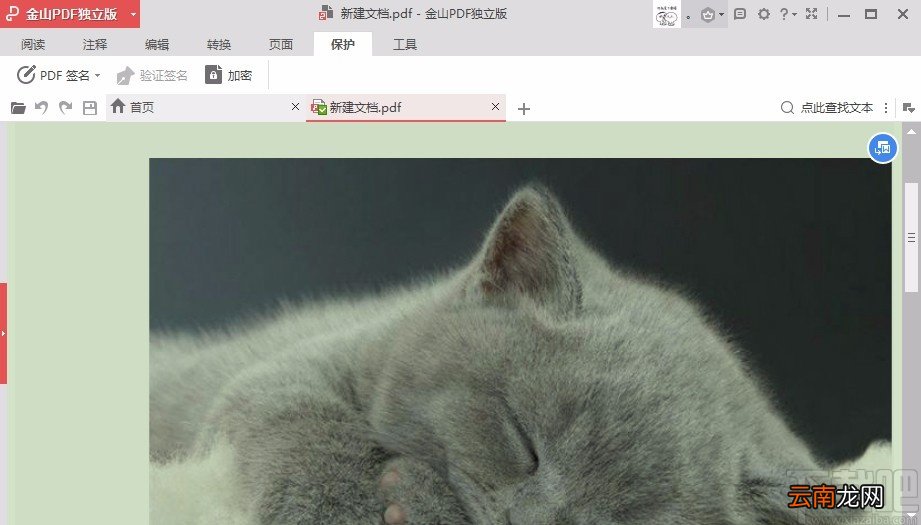金山PDF阅读器设置护眼模式的方法