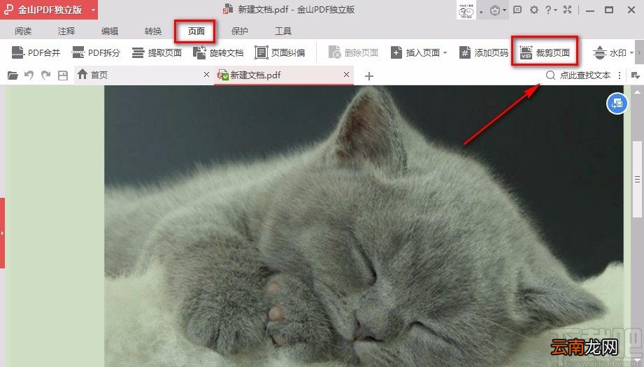 金山PDF阅读器裁剪PDF页面的方法
