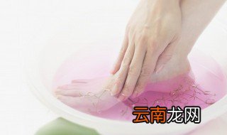 艾草泡脚用根还是用茎叶 艾草杆子和艾草叶子哪个效果好