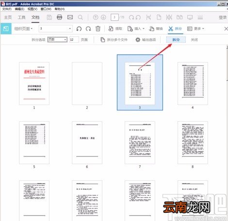 Adobe Acrobat dc拆分PDF文件的方法