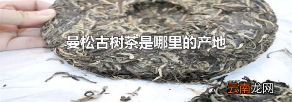 曼松古树茶是哪里的产地