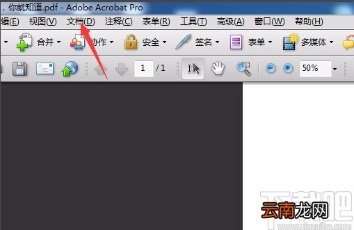 Adobe Acrobat DC给PDF文件去除水印的方法