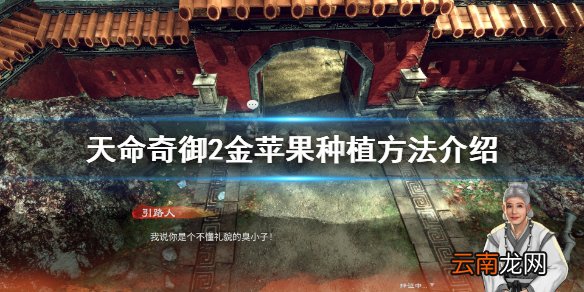 天命奇御2苹果怎么出金苹果 天命奇御2金苹果种植方法介绍