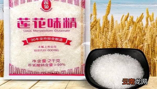 味精是什么 什么是味精