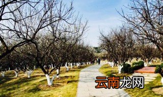 广东香雪公园在哪里 广州香雪公园是哪个朝代的