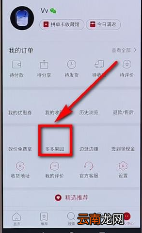 拼多多里多多果园详细玩法讲解
