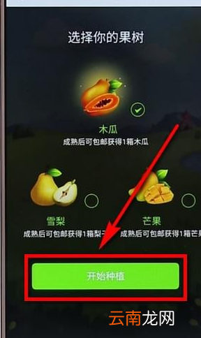 拼多多里多多果园详细玩法讲解