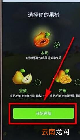 拼多多里多多果园详细玩法讲解