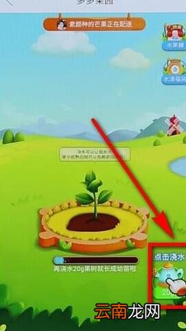拼多多里多多果园详细玩法讲解