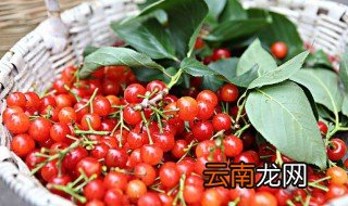 车厘子如何保存一个月 常温下车厘子一般能保存多久
