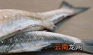 鲈鱼怎么保存才新鲜 鲈鱼冷冻保质期能有多久