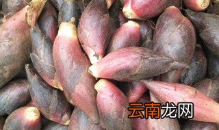 阳荷可以放冰箱冷藏吗 阳荷放冰箱里能保存几天啊