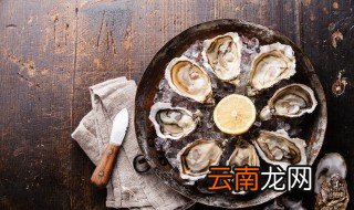 牡蛎读音 牡蛎相关介绍
