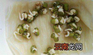 绿豆的生长过程 绿豆的生长过程分享