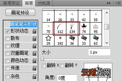 PhotoShop怎么画草地 画笔工具了解下