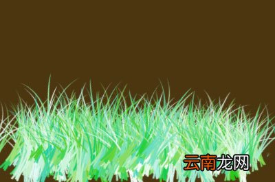 PhotoShop怎么画草地 画笔工具了解下