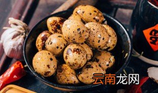 鹌鹑养殖 怎么养鹌鹑