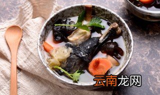 乌鸡怎么养 白凤乌鸡怎么养
