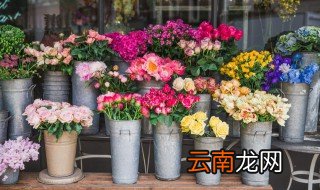 鲜花保持长久的方法 如何让鲜花保鲜时间更长