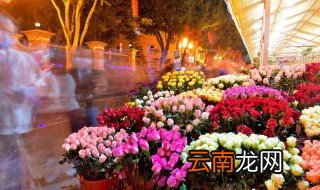 花束怎么能保存长久 如何保存花束