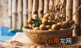 新鲜桂圆怎样保存长久 如何保存新鲜桂圆