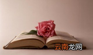 梵高读音 梵高怎么读