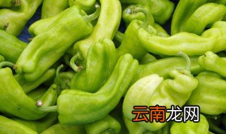 青椒冬天怎么新鲜保存 如何保存青椒