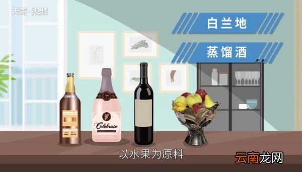 路易十三是什么酒 路易十三是什么类型酒