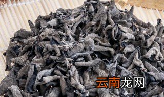 木耳用热水泡直接吃吗 开水泡的木耳能直接吃吗