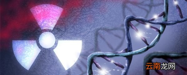 放射性元素对人体的危害 放射性元素的危害有哪些