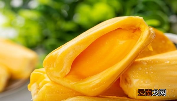 菠萝蜜能放多久 菠萝蜜放久了可以吃吗