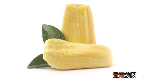 菠萝蜜能放多久 菠萝蜜放久了可以吃吗
